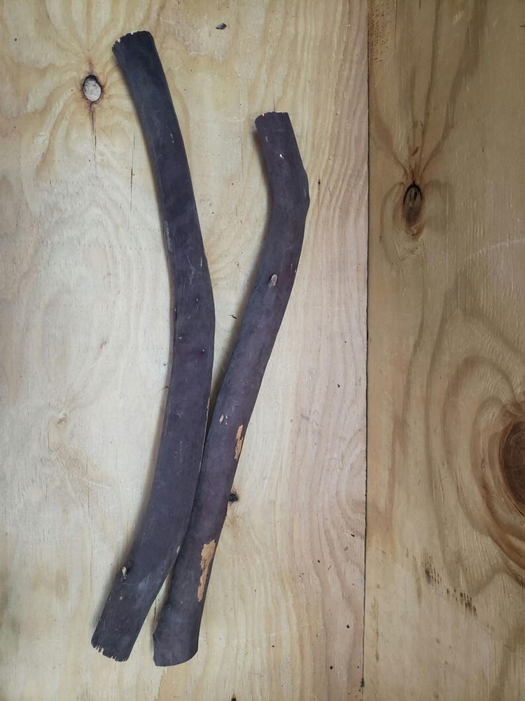 2 Manzanita branches 19"-21" #135