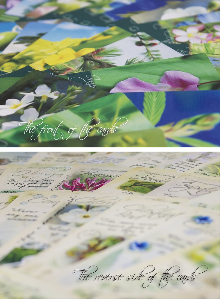 Bach Flower Divination Cards Pack 38 Beautiful illustrations, proverbs, quotes