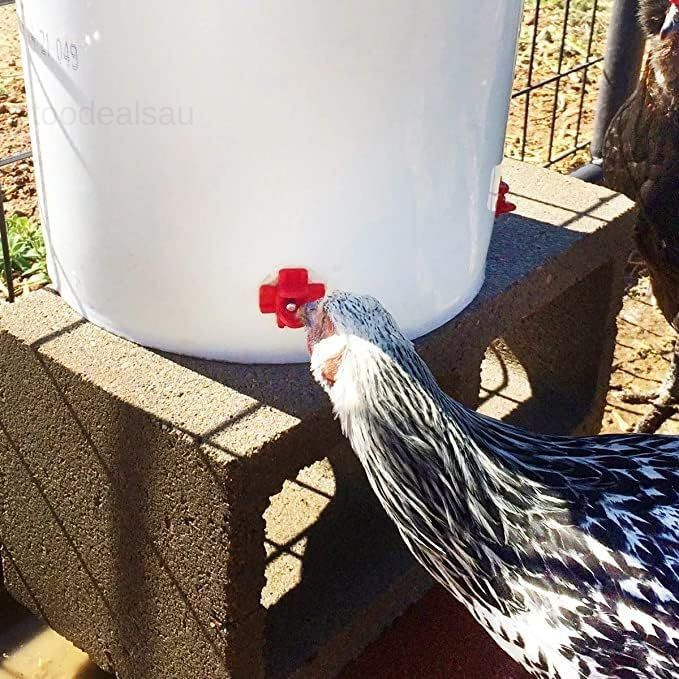 20 Pack Horizontal Chicken Nipples Waterer - Automatic Water red