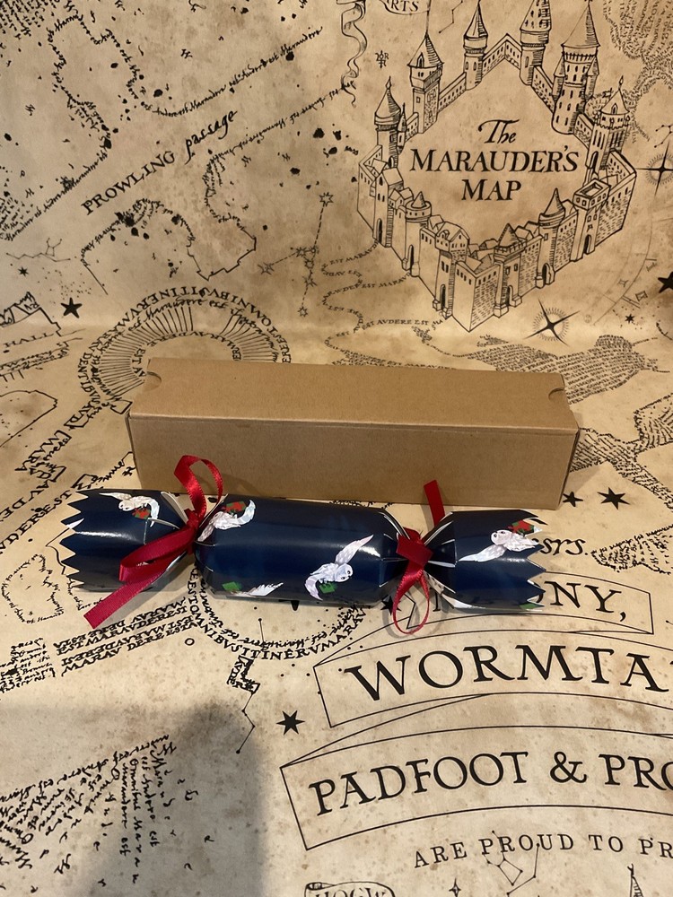Harry Potter Cracker Rare Litjoy