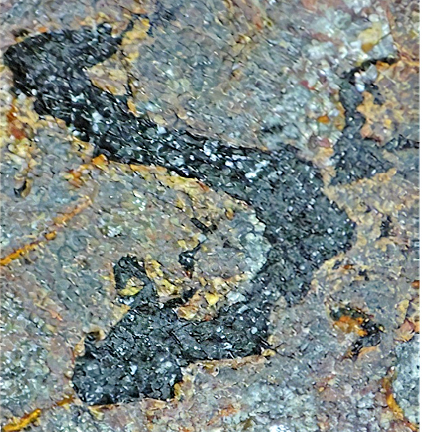 NWA 11639 ~ Achondrite Ureilite Slice ~ Graphite / Diamond Aggregates ~ 5.61 g