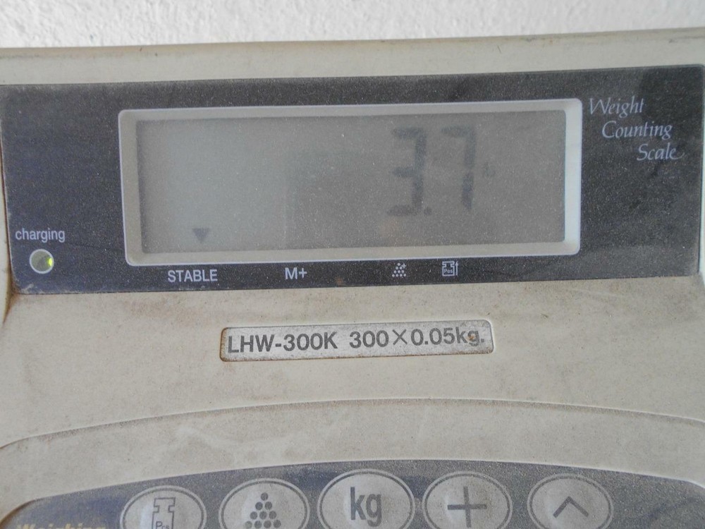 Zildjian Avedis 16" CrashCymbal ~