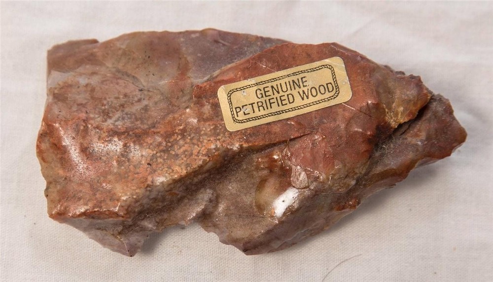 Genuine Petrified Wood