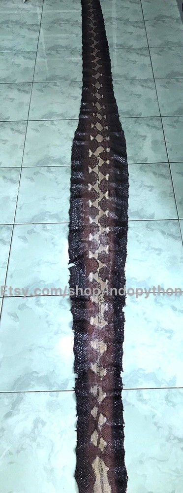 Genuine Python Leather, Exotic Snake Skin, Brown SnakeSkin, Multicolor Leather
