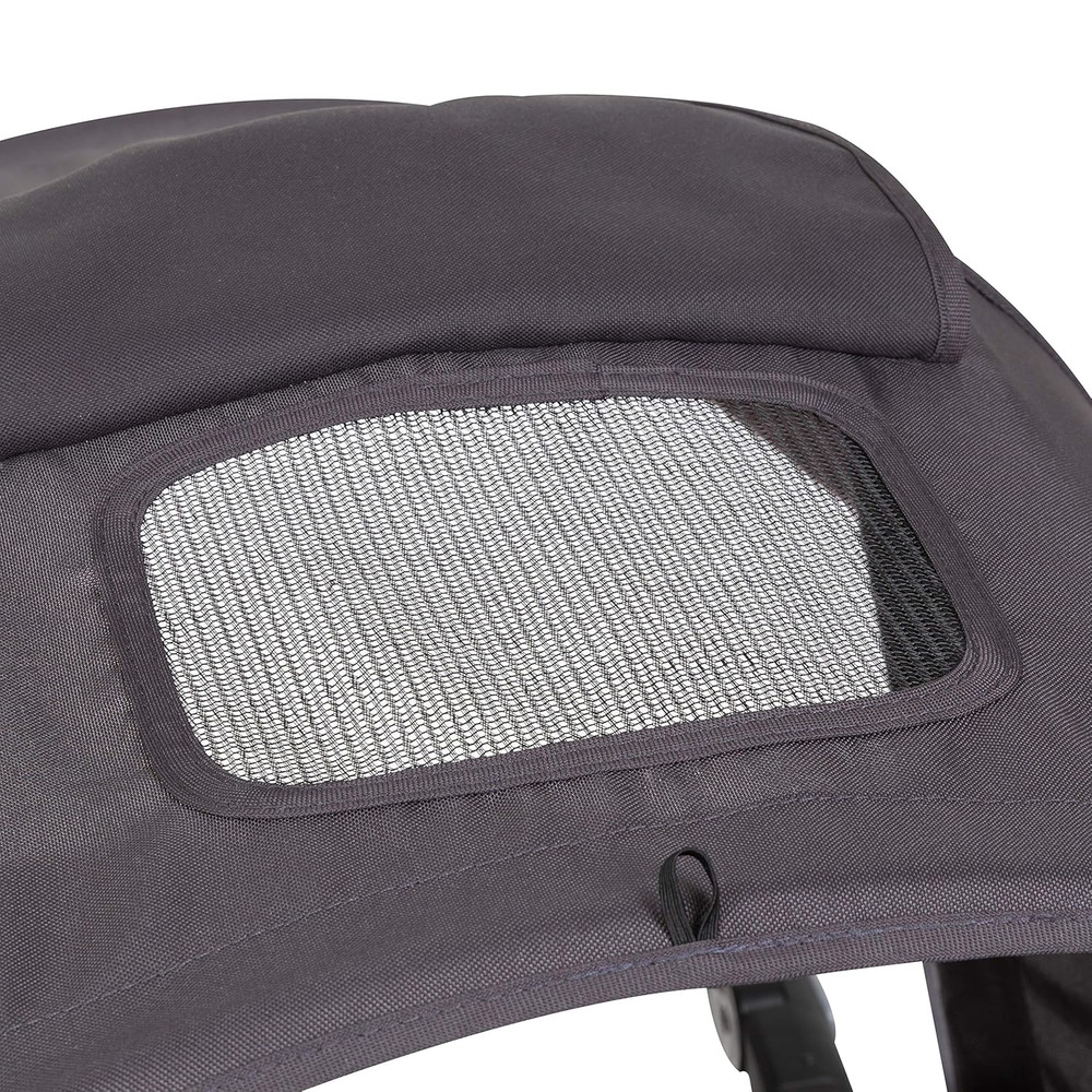 Sit N’ Stand® 5-In-1 Shopper plus Stroller, Cassis
