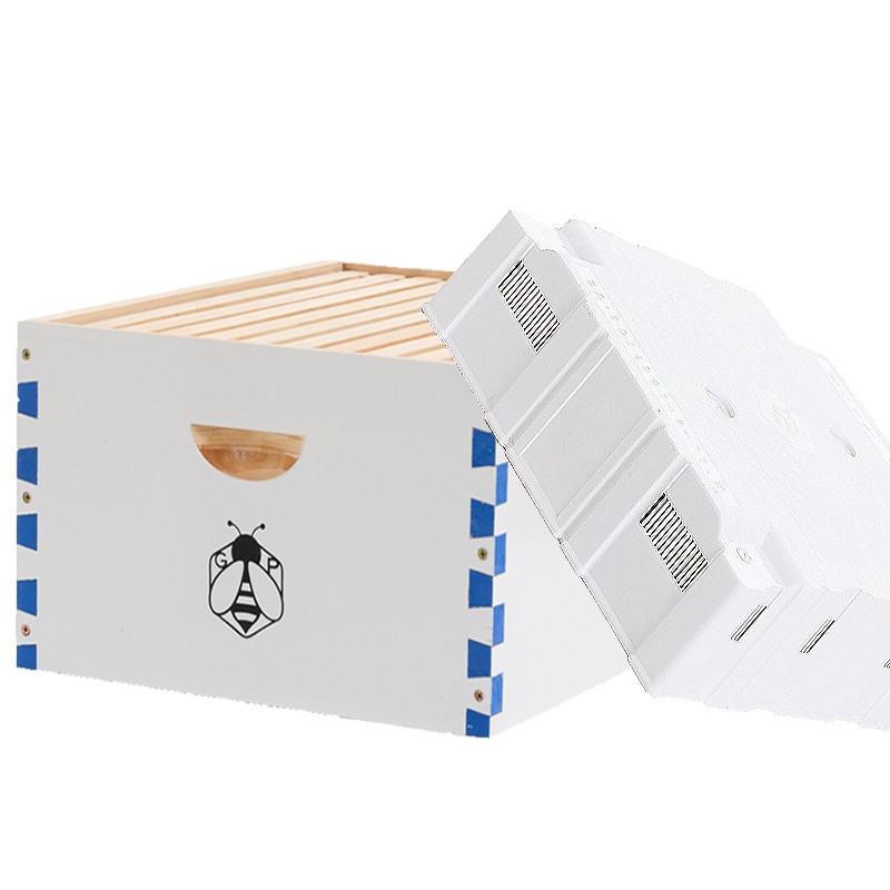 Beehive Langstroth House Beekeeping Kit 10 Deep Layer &10 Medium Frames + Cover