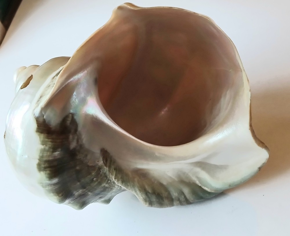 maritime collectables