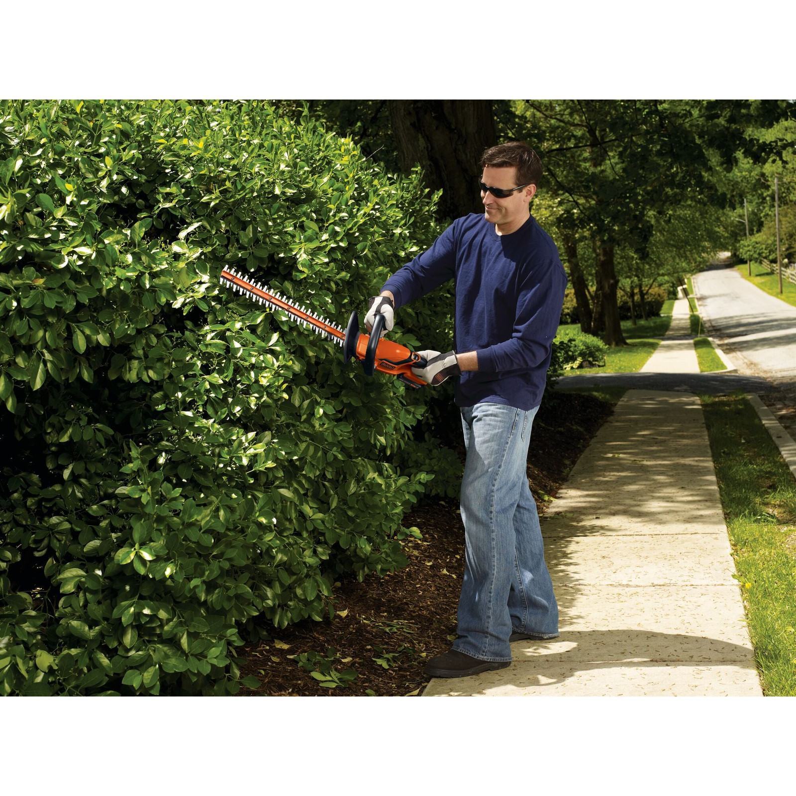 BLACK+DECKER 20V MAX* Cordless Hedge Trimmer, 22-Inch - LHT2220