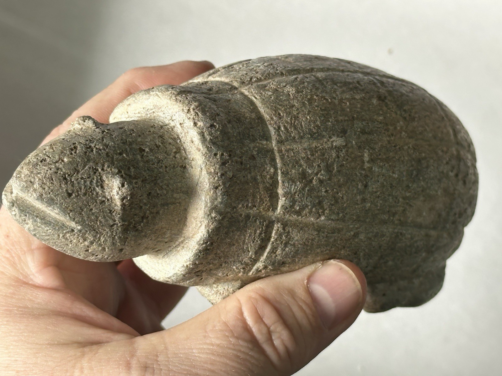 RARE CARVED STONE TURTLE EFFIGY FROM THE COLUMBIA RIVER, OREGON, MOTLEY COA