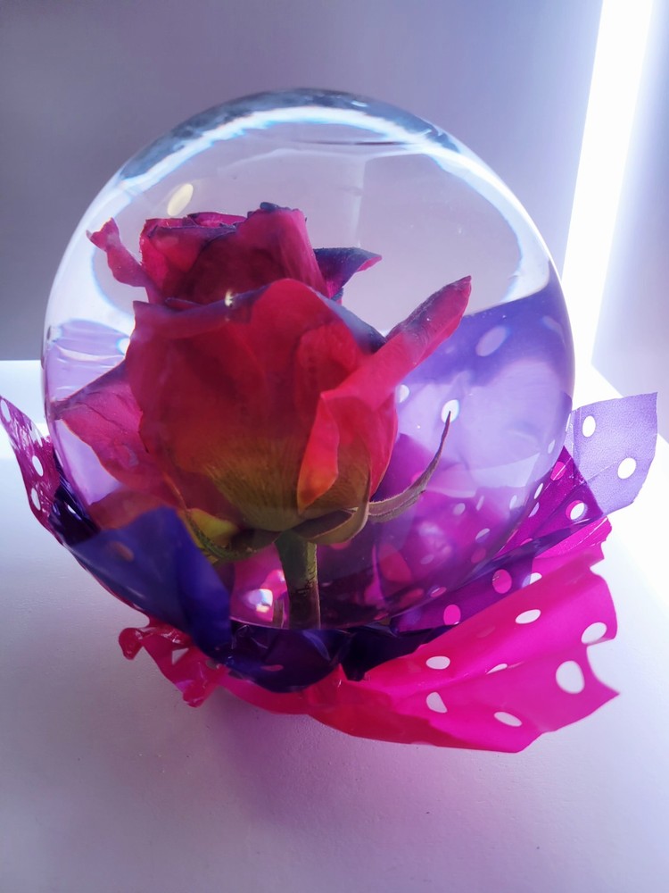 Preserved Multi Color XLarge Rose Globe 7"x6"