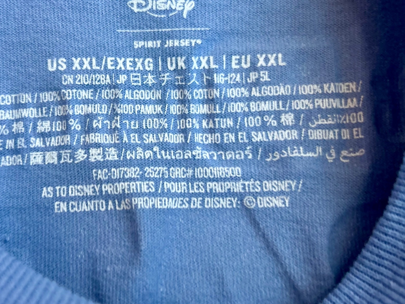 Disney Parks RunDisney Marathon Weekend Spirit Jersey | Adult 2X 2026