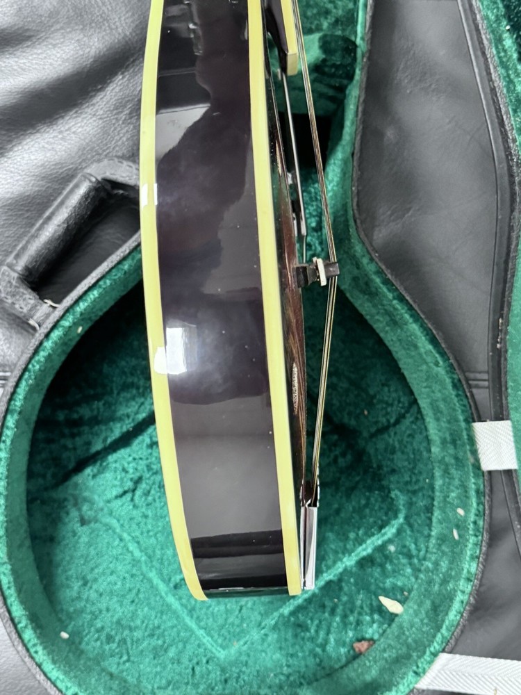 OSCAR SCHMIDT OM 10, Hard Case Great Shape