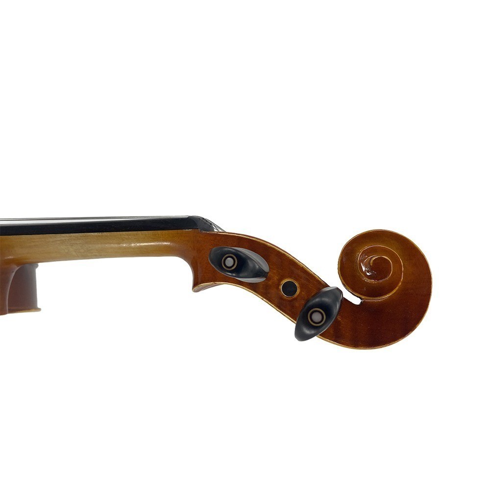 4/4 Violin Spruce Top Maple Back Beginner Gift Set with Case,Bow,Shoulder Rest