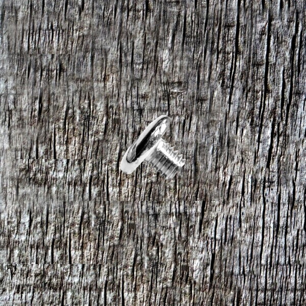 Cascade Cross Concho CON402-L-A