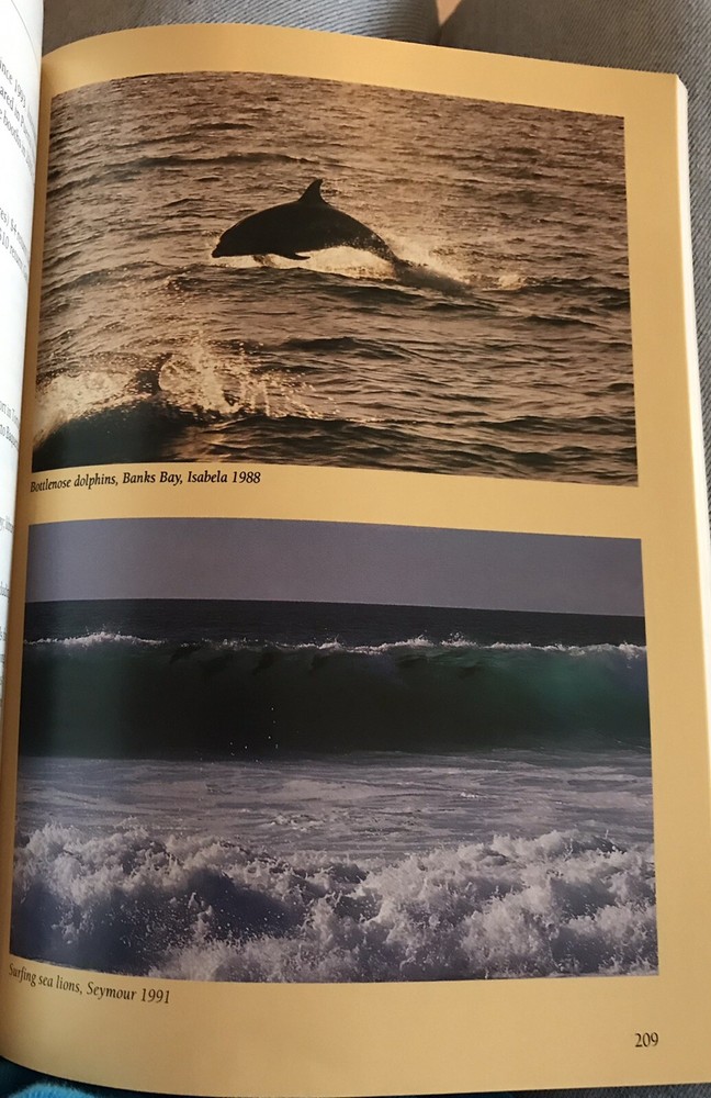 2006 "Galapagos A Natural History Guide" by Pierre Constant