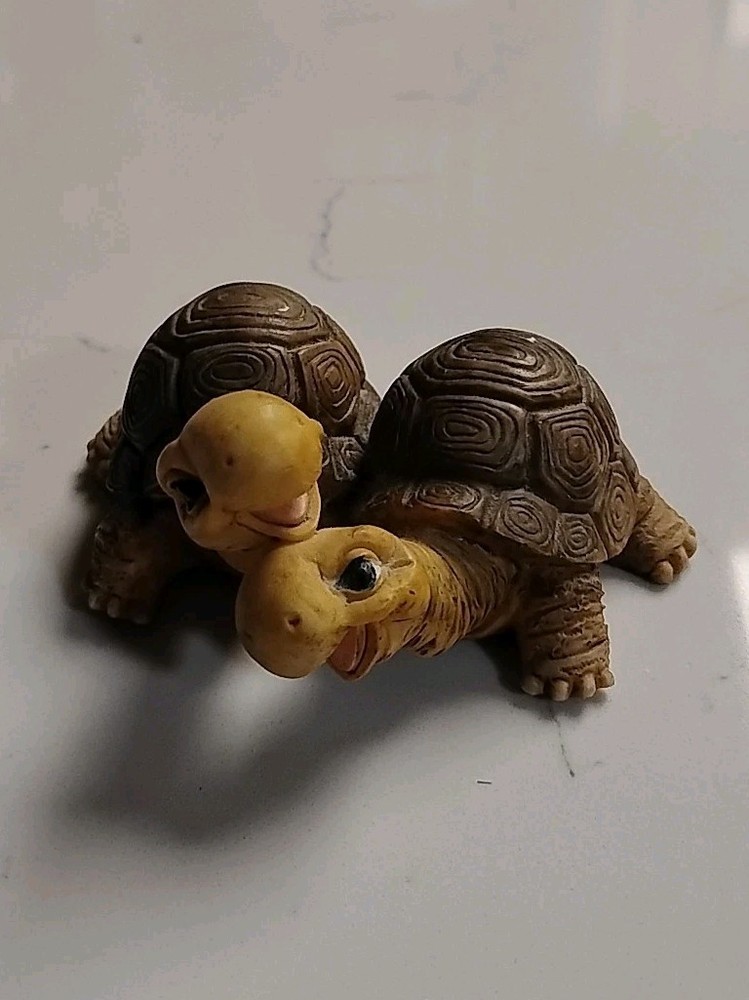 Turtle Pair