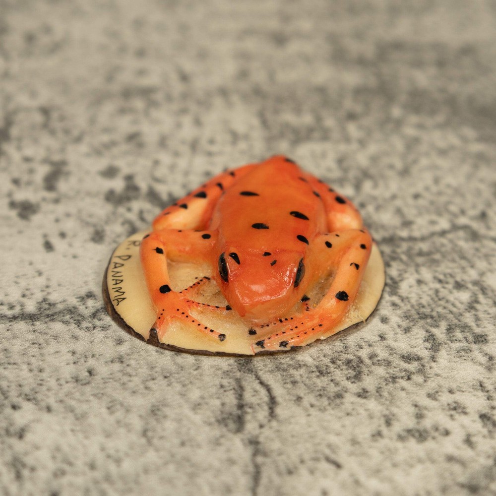 Orange Jungle Frog Tagua Carving