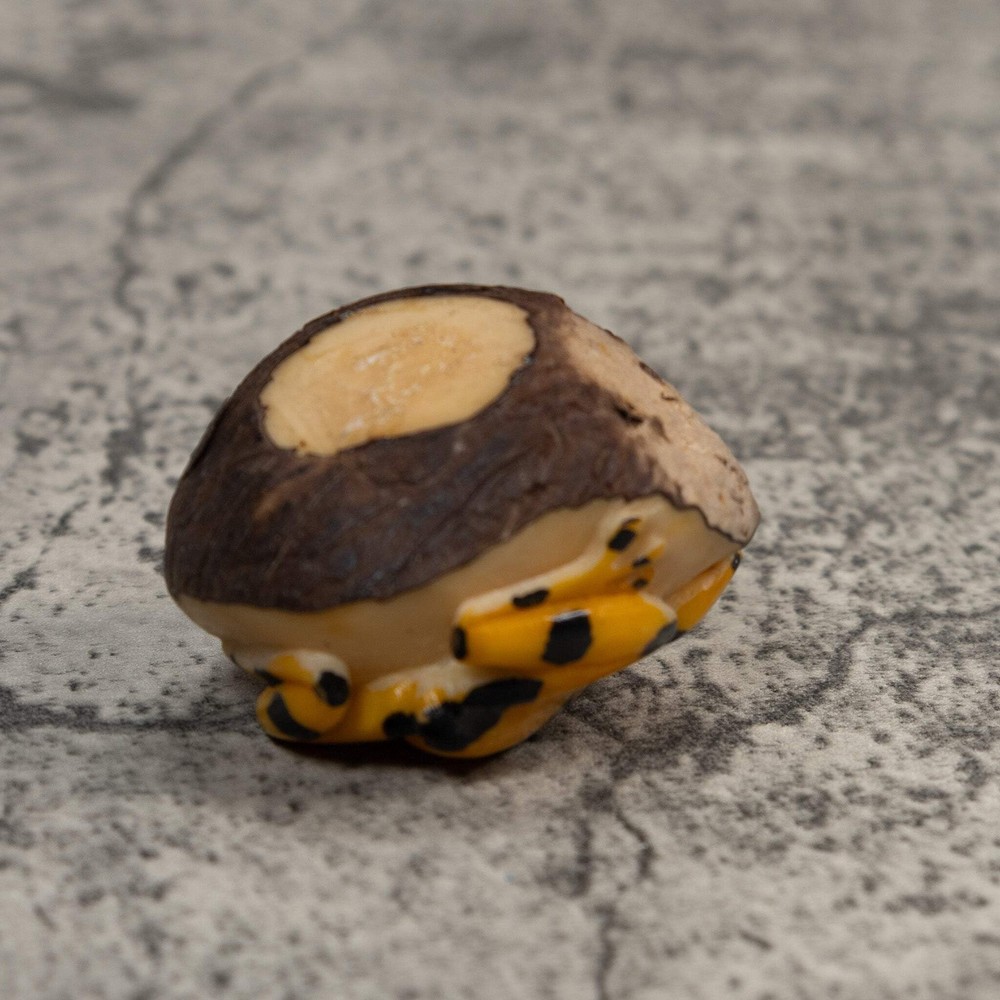 Gold and Black Frog Tagua Carving