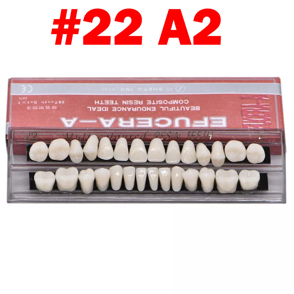 Dental Acrylic Resin Denture Shade A2 A3 Upper Lower Full Set False Teeth
