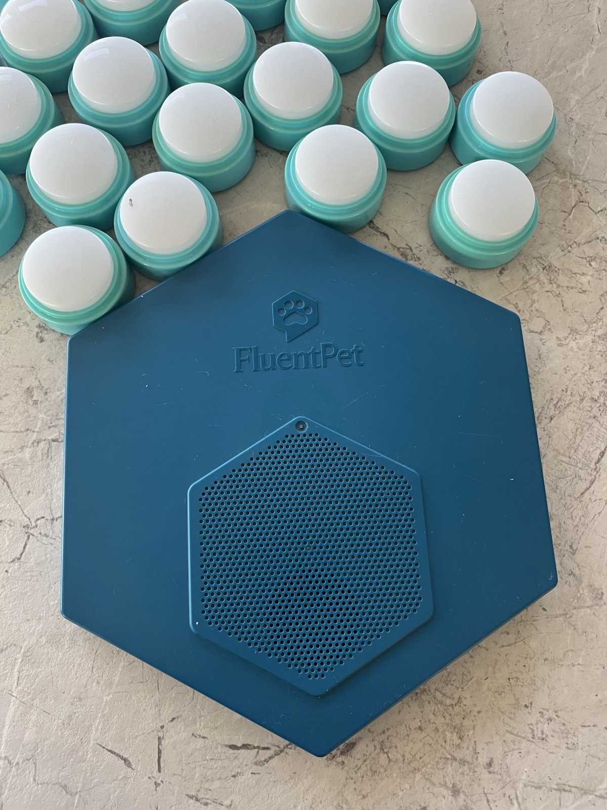 Gently Used Fluent Pet Connect Base with 6 HexTiles and 30 Connect Buttons