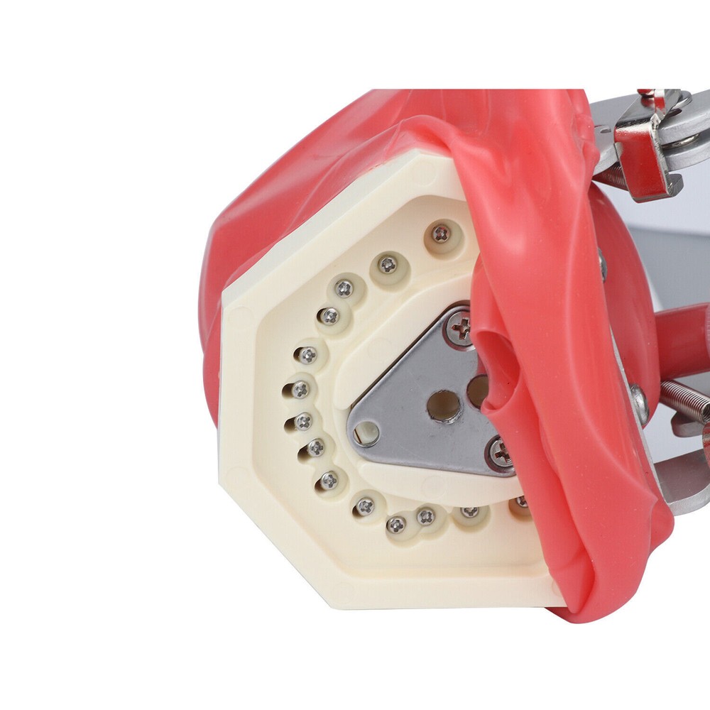 Dental Simulator Manikin Phantom Head Training Model Fix on Chair Unit Headrest