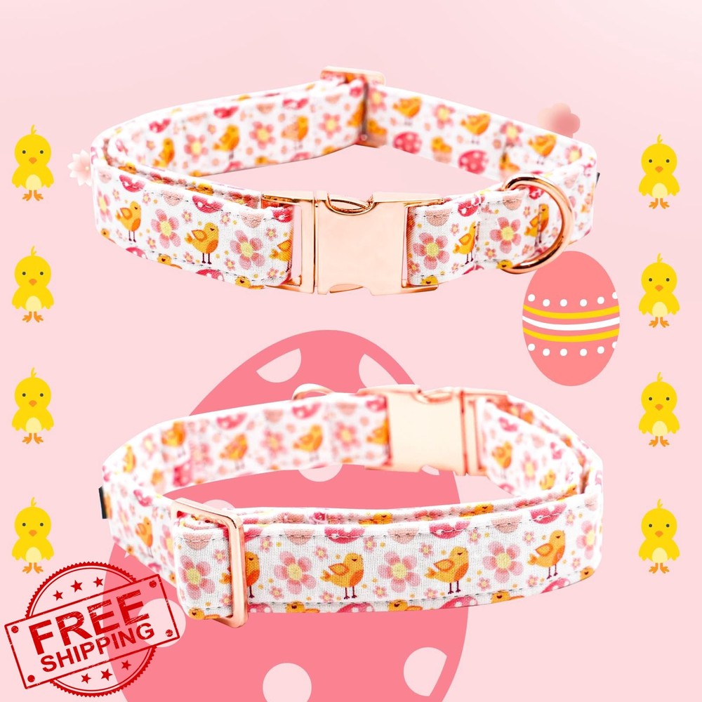 Bobo Rainbow Dog Collar Easter Cute Chicken Eggs Print M/S