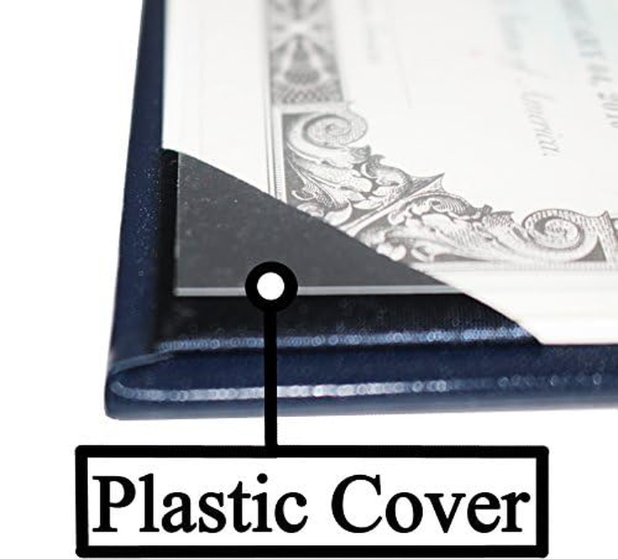 U.S. Citizenship and Naturalization Certificate Holder. Gold American Eagle Logo