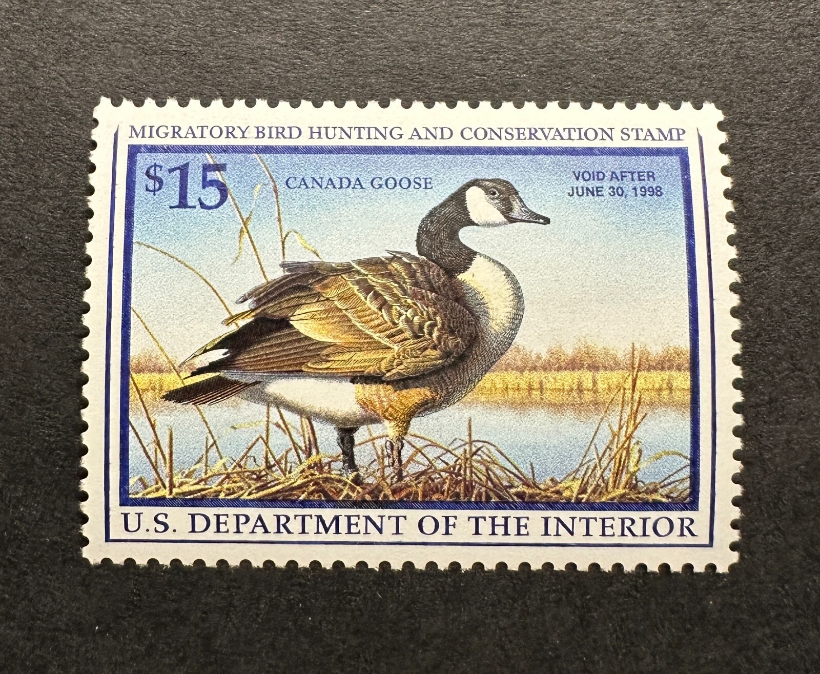 WTDstamps - #RW64 1997 - US Federal Duck Stamp - Mint OG NH