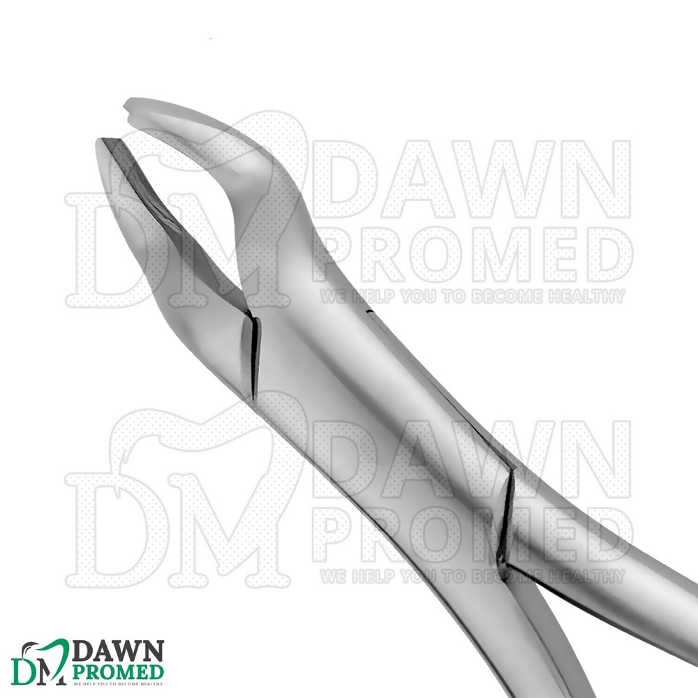 Dental Extracting Forceps #53L Gold Hollow Python Grip Handle German Grade