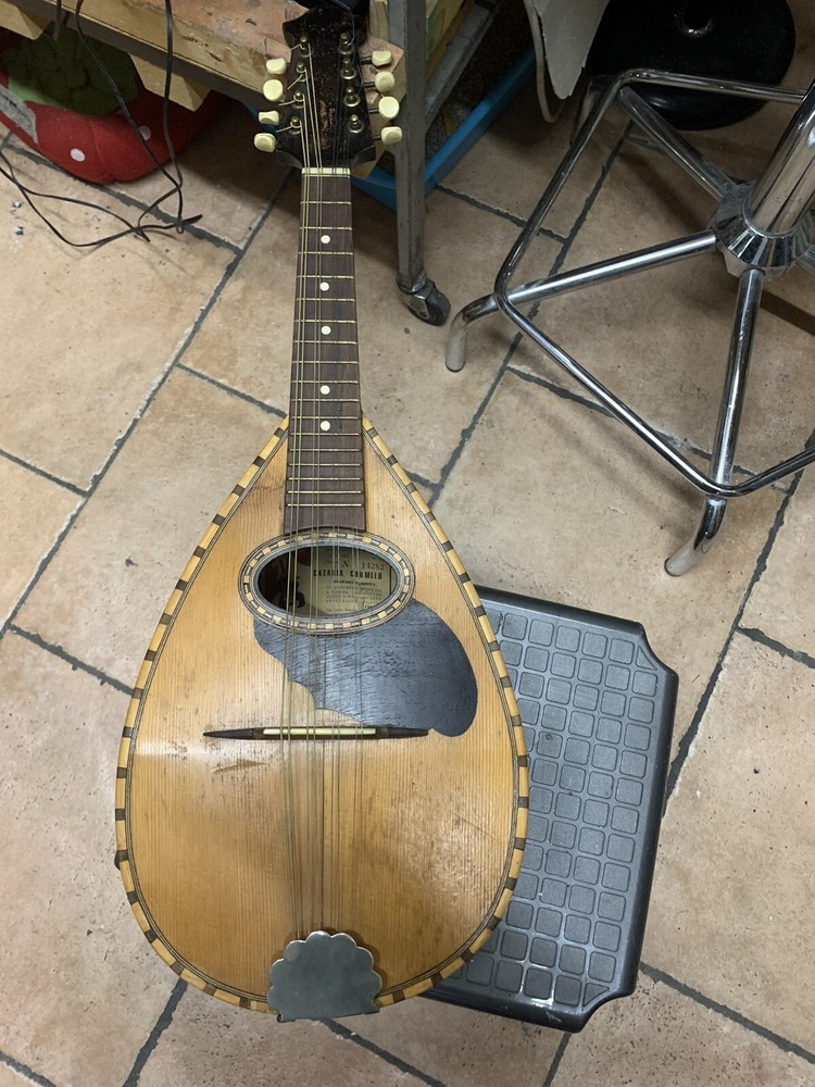 Carmelo Catania Mandolin