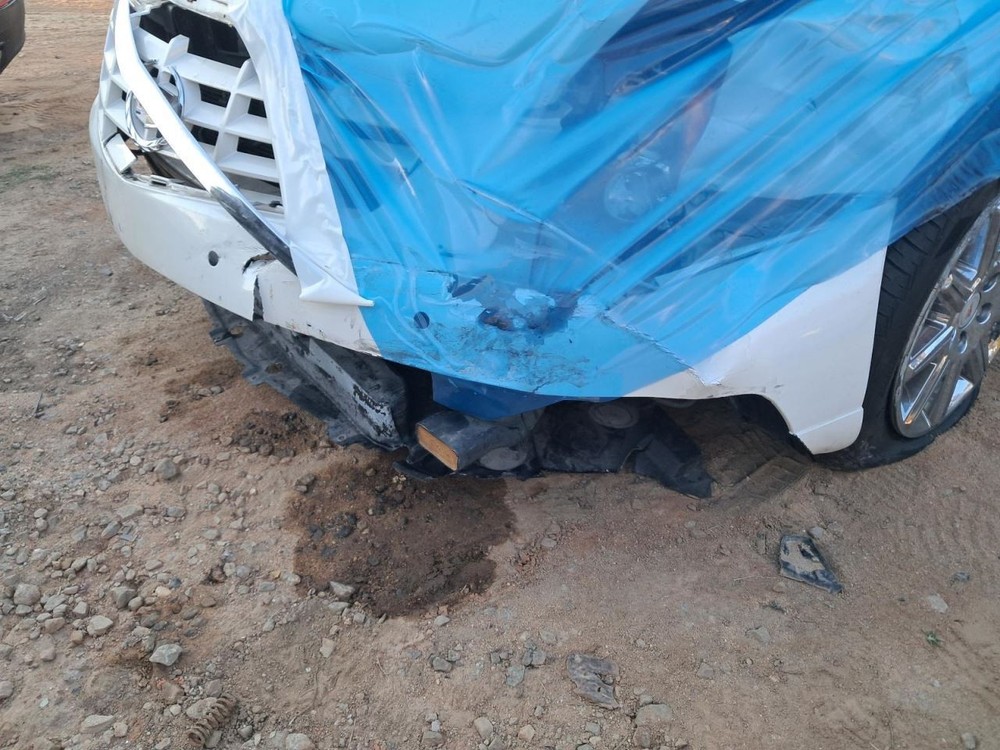 DTS 2011 Glove Box 4776953