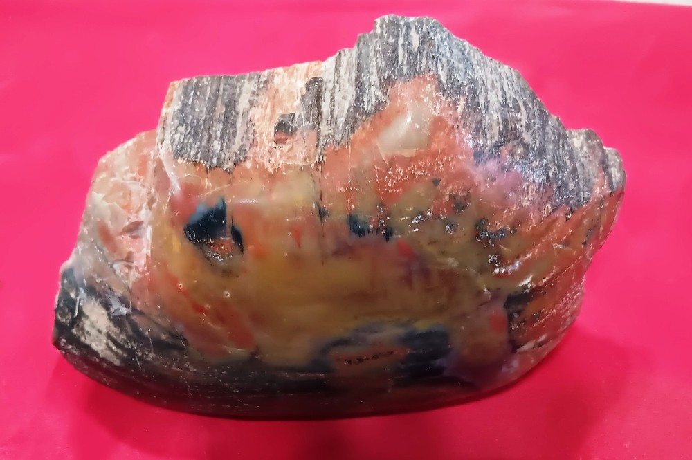 Opalized Petrified Wood Amazing Slab