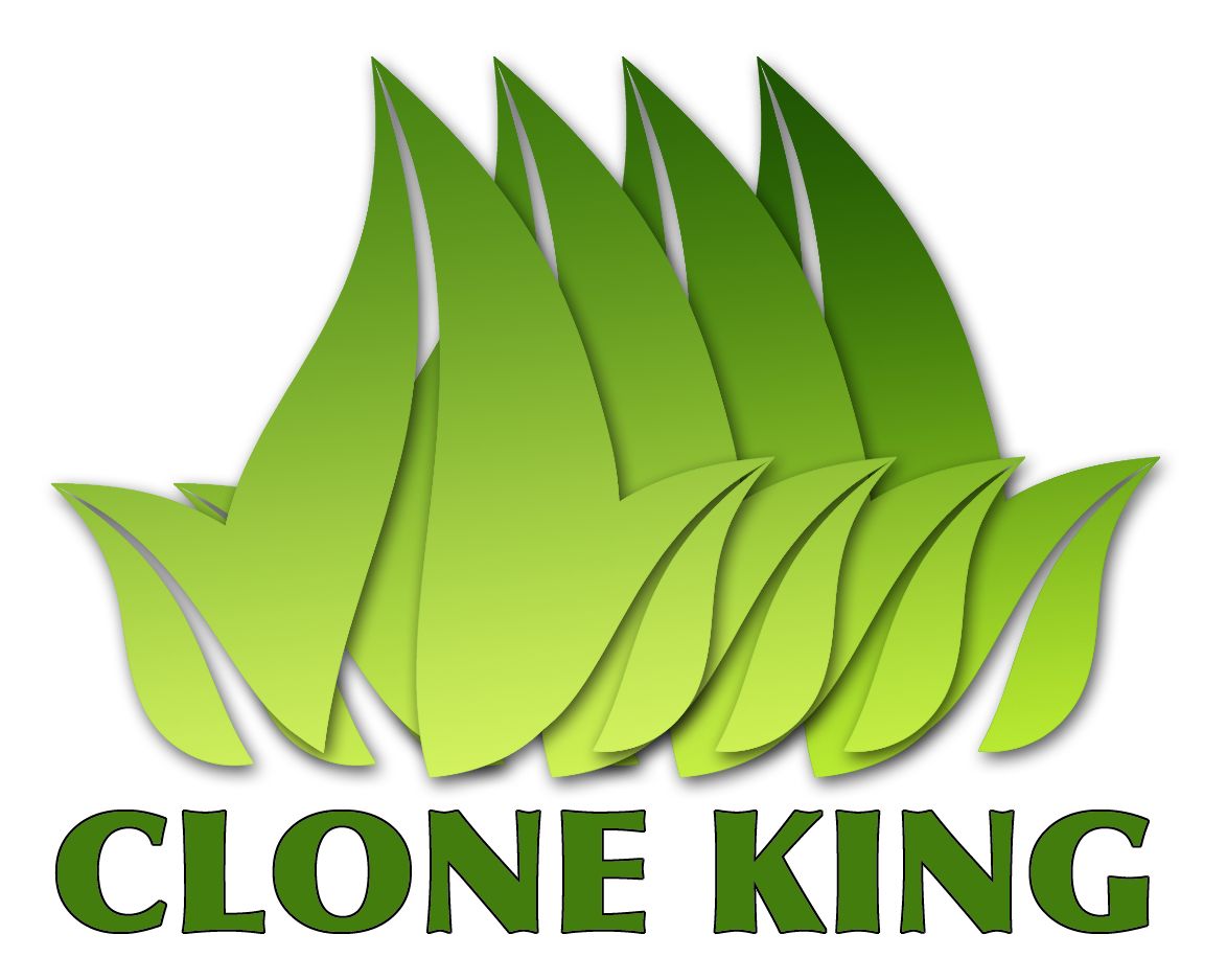 THE CLONE KING 36 SITE AEROPONIC PLANT CLONING MACHINE CLONER CLONING VERY EASY!