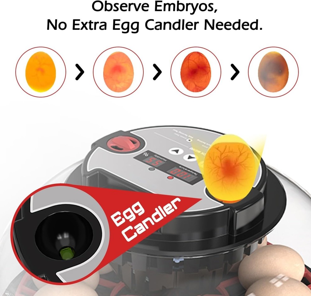 Smart Chicken Incubators for Hatching Eggs with Automatic Turner Small Poultr...