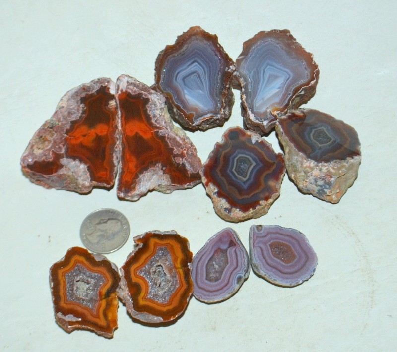 10 pcs Lot Pair Condor Agates from Argentina Wholesale Bulk *