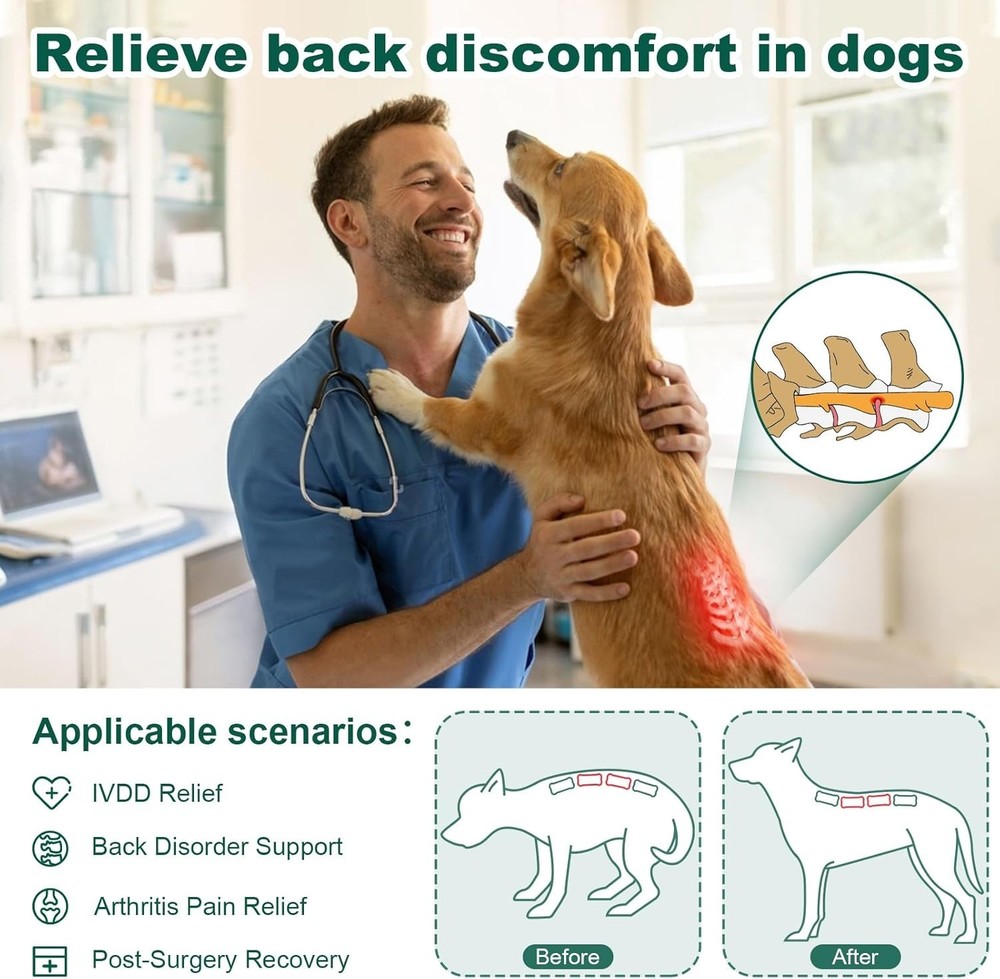 Dog Back Brace Spine Support Size L