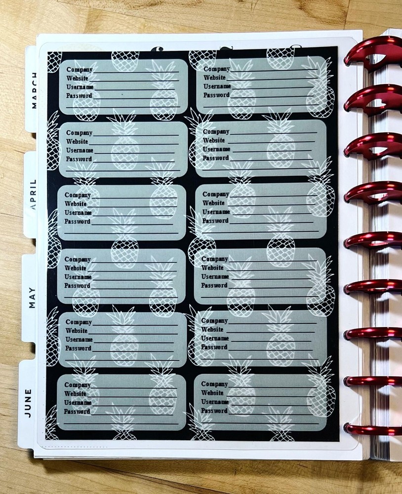 Password Organizer Dashboard Insert for use with Classic Happy Planner-