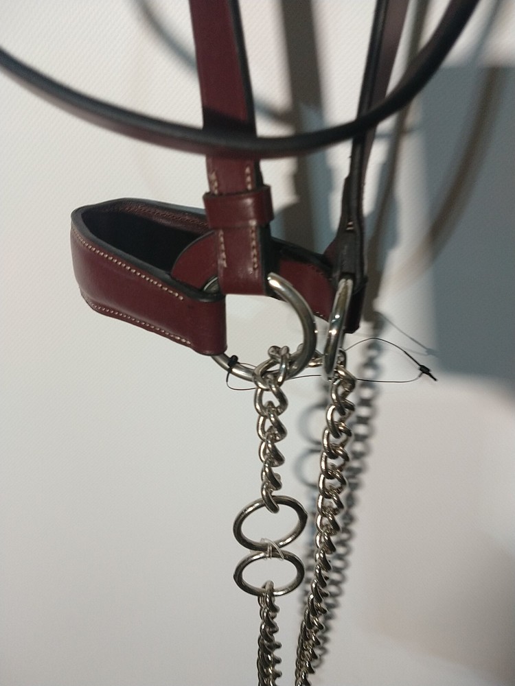 Passage Equestrian Bridle full size (DD)