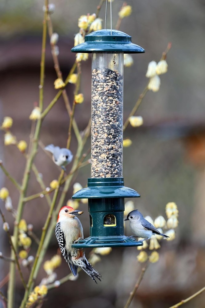 Squirrel Buster Evolution Truly Squirrel-Proof Bird Feeder Double Cardinal Ring