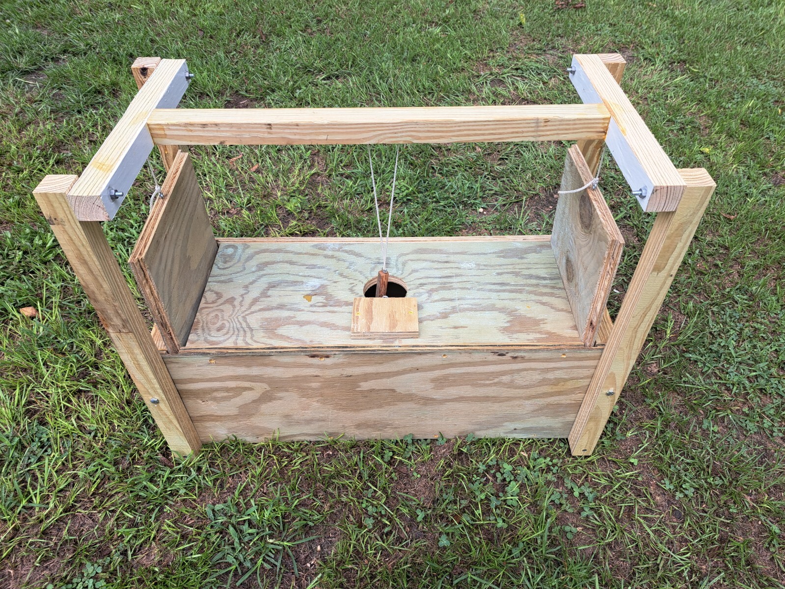 Armadillo Traps -Scented from live Armadillos.