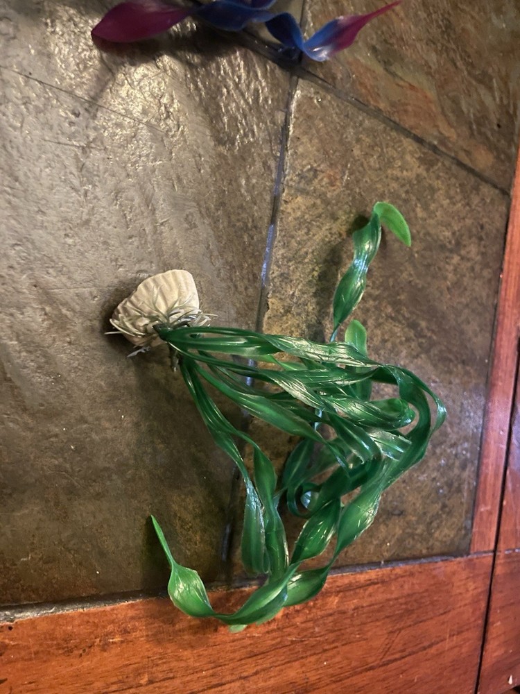 Fish Tank Accessories