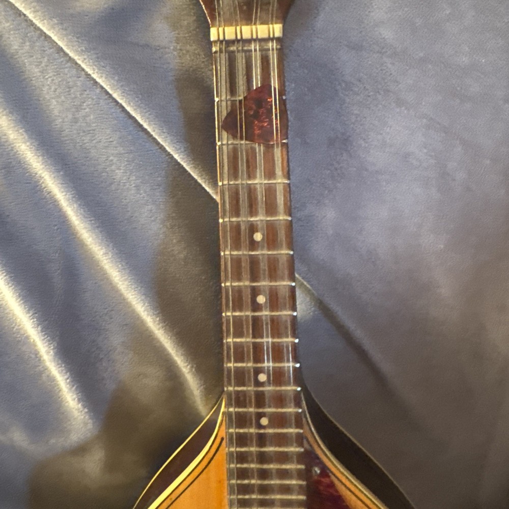 60’s70’s Norma Electric Mandolin