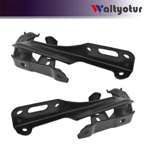 Left Driver and Right Passenger Side Hood Hinge Set Replacement for 2016-2019