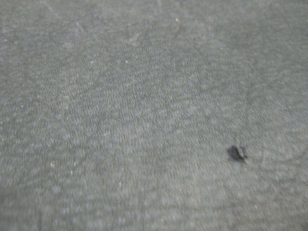 Buffed Deer Leather # 0013402 Row JJ