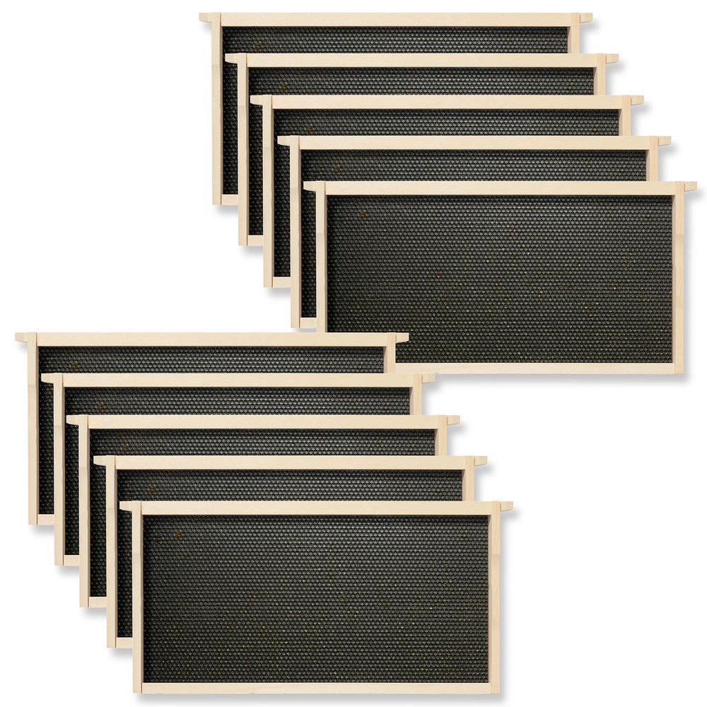 Deep Waxed Brood Box with Window, 10 frames and 10 Blk Foundations