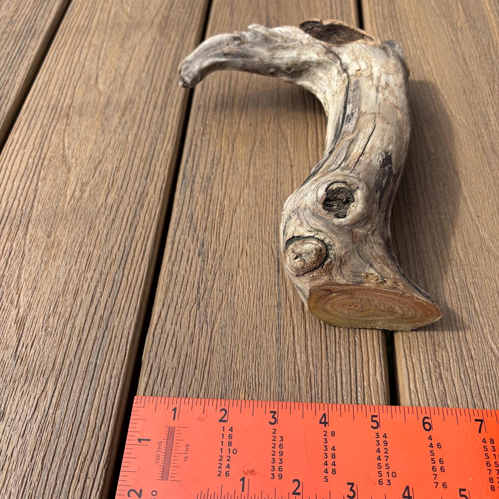 Small Tree Shaped Driftwood 9x3x7 – Sculptural Wood with Hollows Aquarium