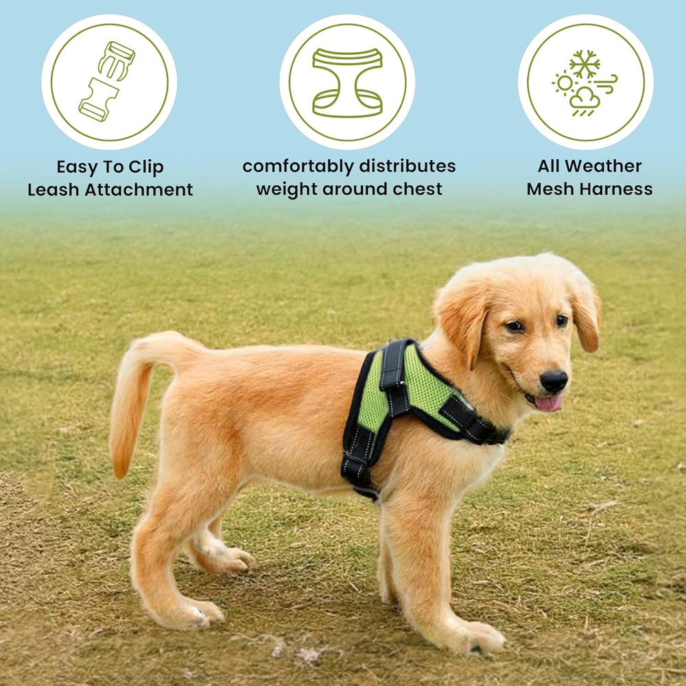 No Pull Reflective Adjustable Dog Harness with Handle- Comfortable Soft All Wea