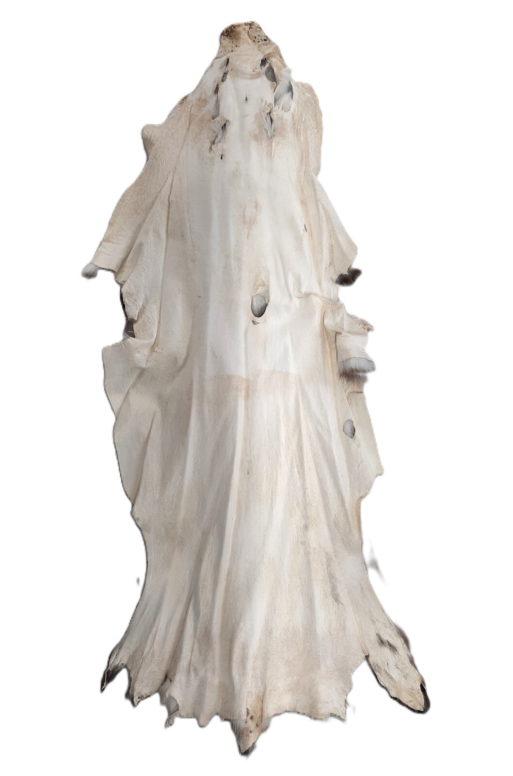 Opossum, Open Tanned-VERY Well Furred