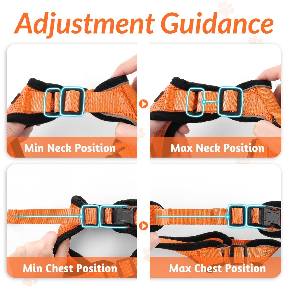 rabbitgoo Cat Harness and Lead Escape Proof Adjustable Reflective Vest Orange