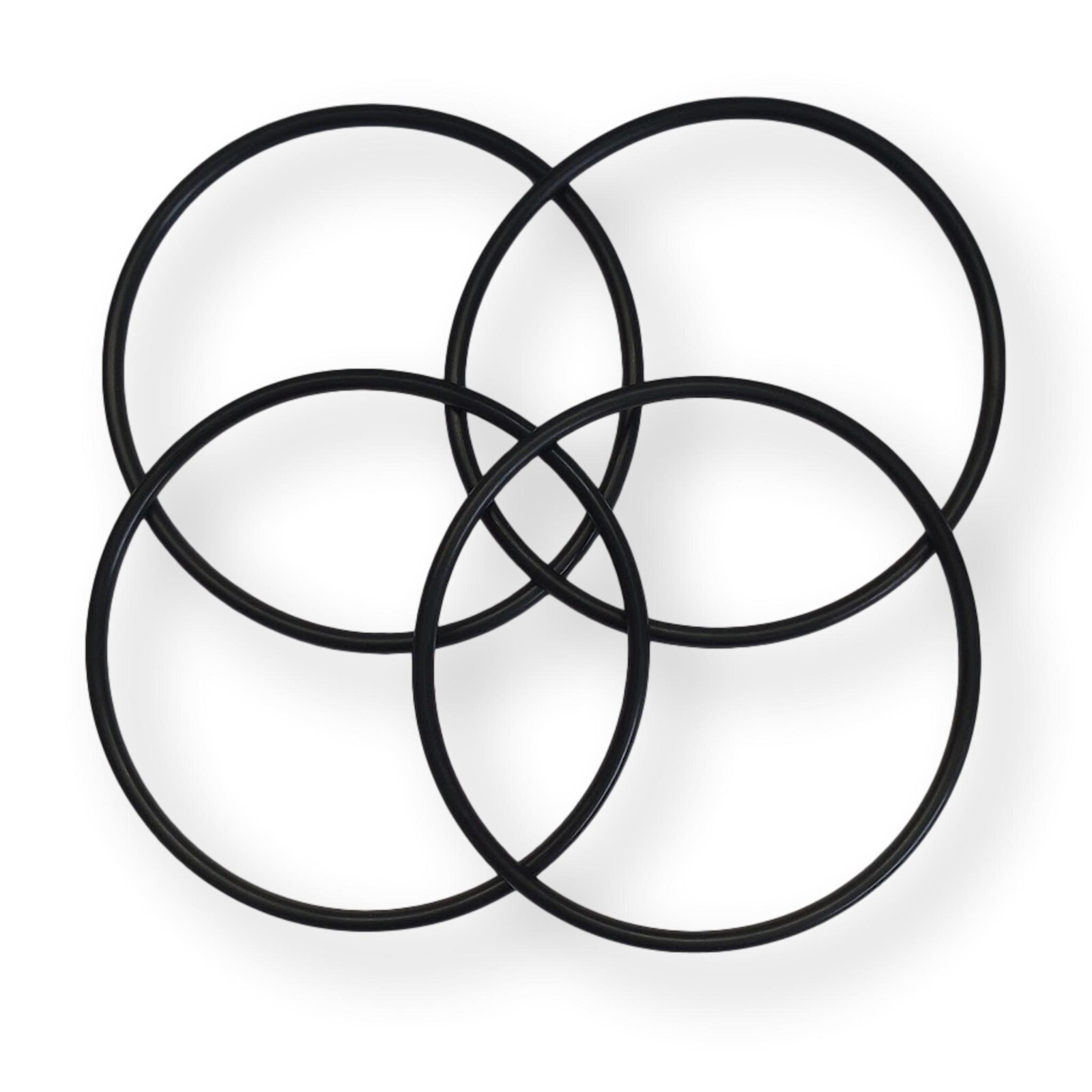 4 Pk Whole House Water Filter O-Ring Omni U30 Pentek Omnifilter (from Menards)